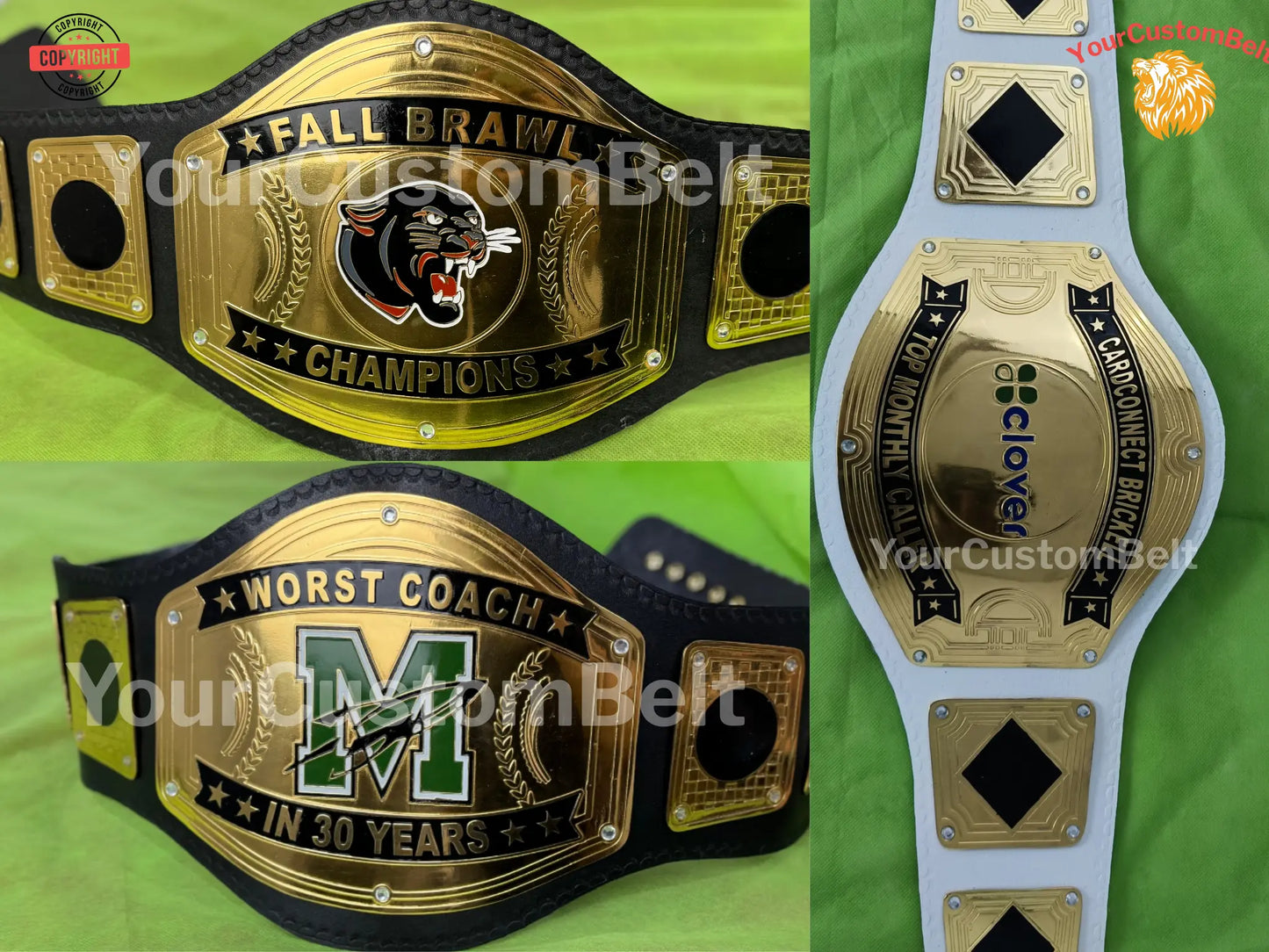 YourCustomBelt Wrestling Championship Belt – Custom Sports Award – Corporate Trophy – Personalized Engraving – Gift for Winner My Store