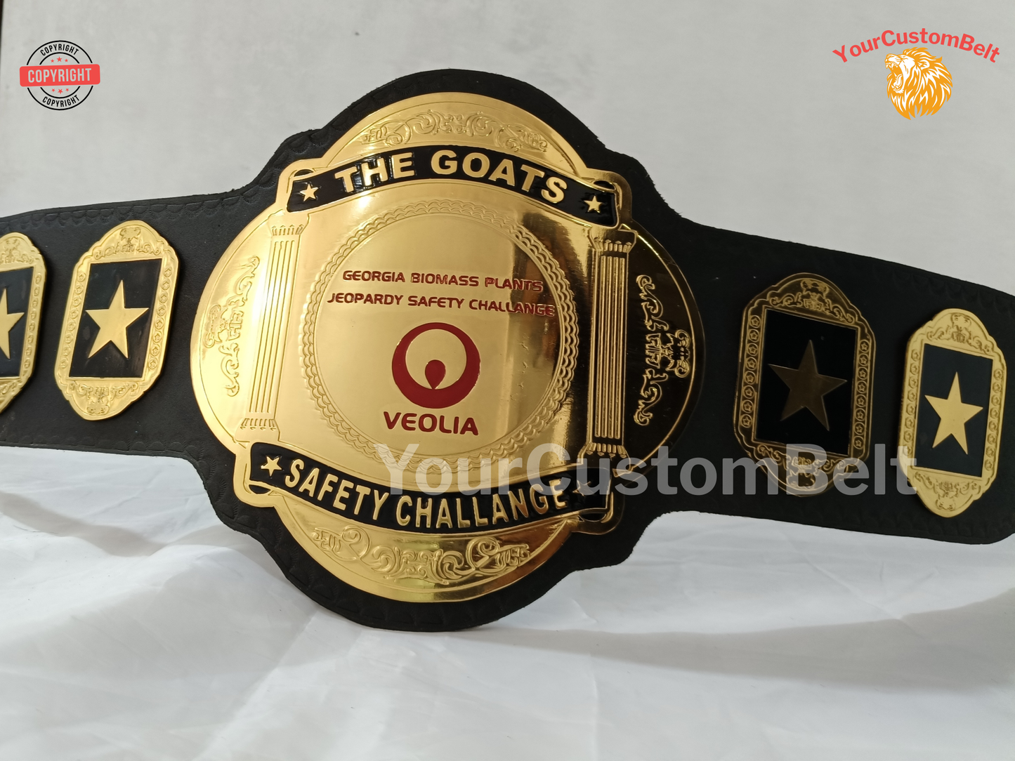 YourCustomBelt Custom Title Belt β Wrestling Champion Award β Corporate Trophy β Personalized Name & Logo β Made to Order