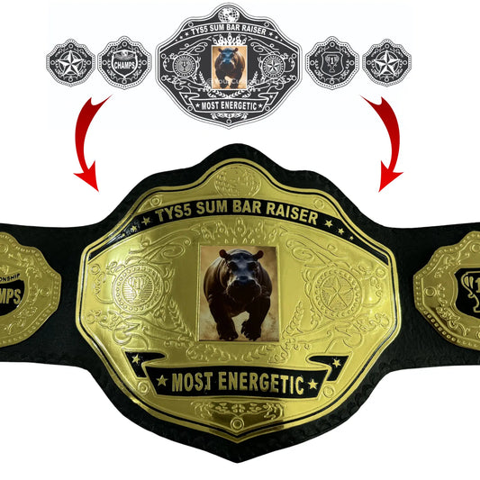 Yourcustombelt Personalized Pro Wrestling Belt – League Title – Personalized Name & Logo – Wrestling Fan Gift My Store