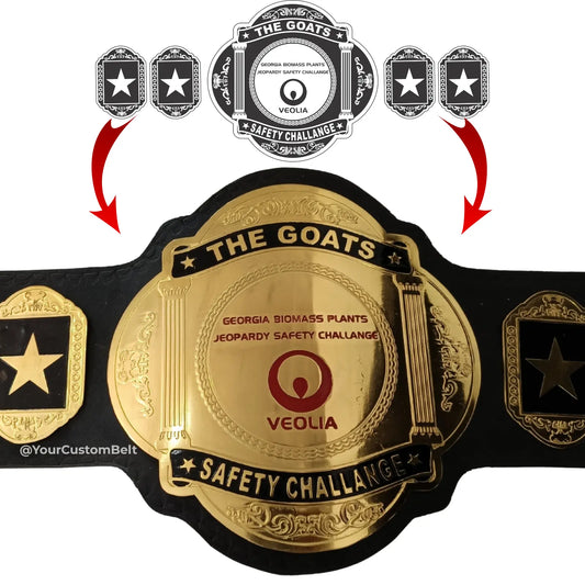Yourcustombelt Personalized Pro Wrestling Belt – League Title – Personalized Name & Logo – Wrestling Fan Gift My Store