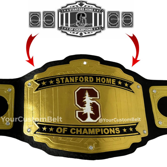 Yourcustombelt Personalized Pro Wrestling Belt – League Title – Personalized Name & Logo – Wrestling Fan Gift My Store