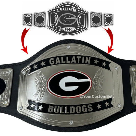 Yourcustombelt Personalized Pro Wrestling Belt – League Title – Personalized Name & Logo – Wrestling Fan Gift My Store